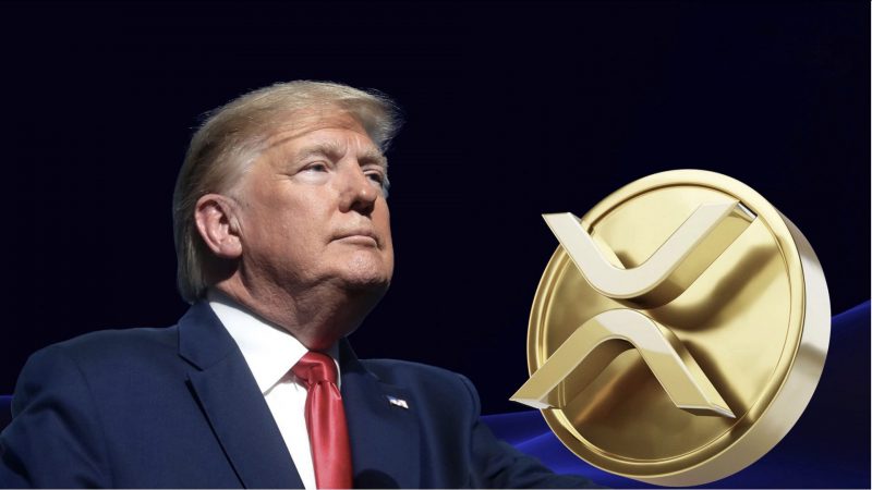 Trump ripple (XRP)